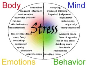 StressChart